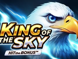 King of the Sky Hit the Bonus screenshot
